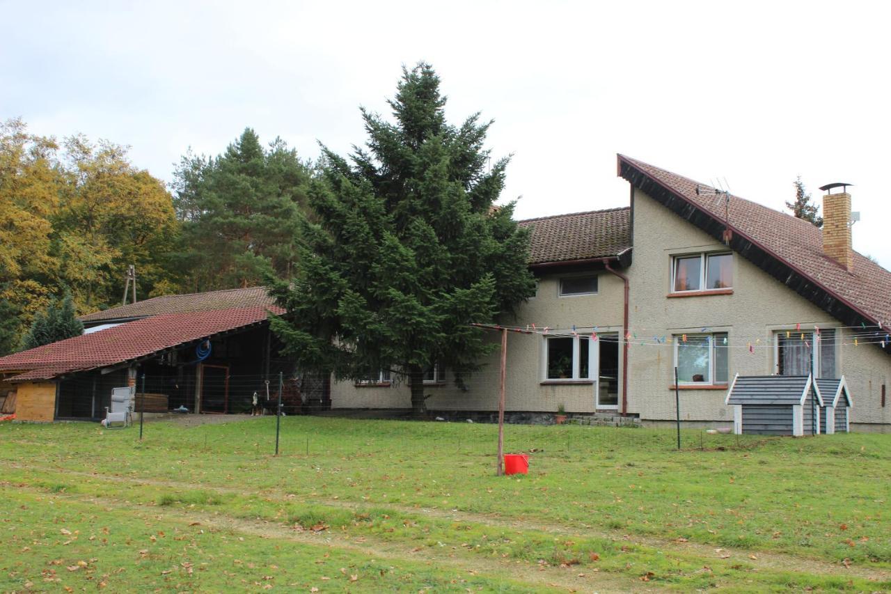 Gospodarstwo Agroturystyczne Agroletnica Swidnica  Exterior photo